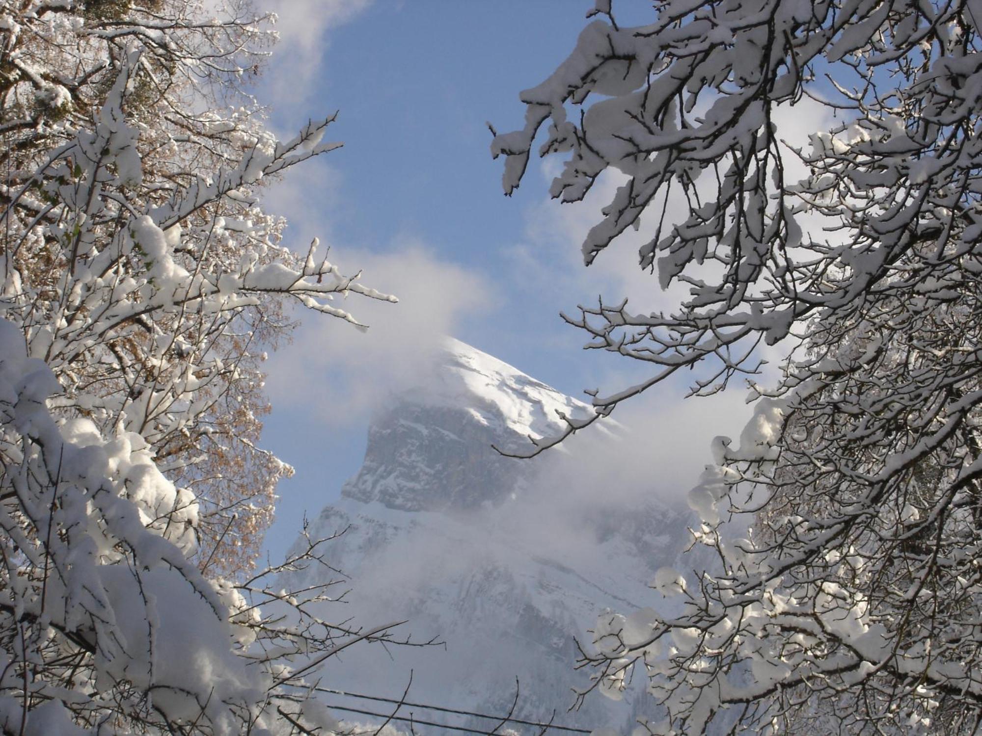 Edelweiss Hotel Samoëns Exterior foto